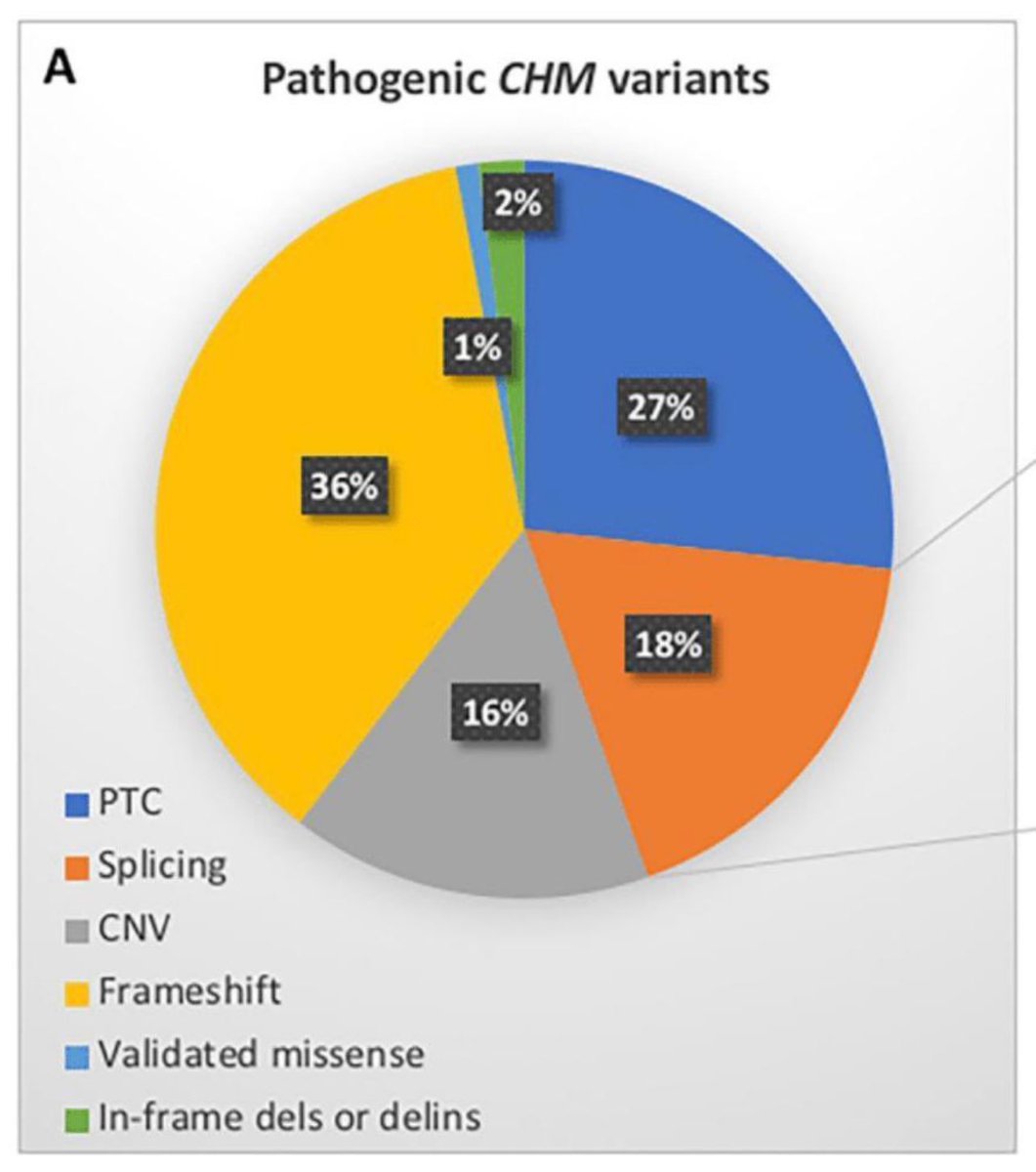 yaireinhorn's tweet photo. 2/RNAediting systems are an amazing tools that can be used to correct #diseasemutations or pre-termination #StopCodons. In Inherited retinal diseases such as #Choroideremia, PTCs are responsible for 27% of all pathogenic Choroideremia variants as shown in @vision_inm’s figure👇 https://t.co/WWRdwamw6x