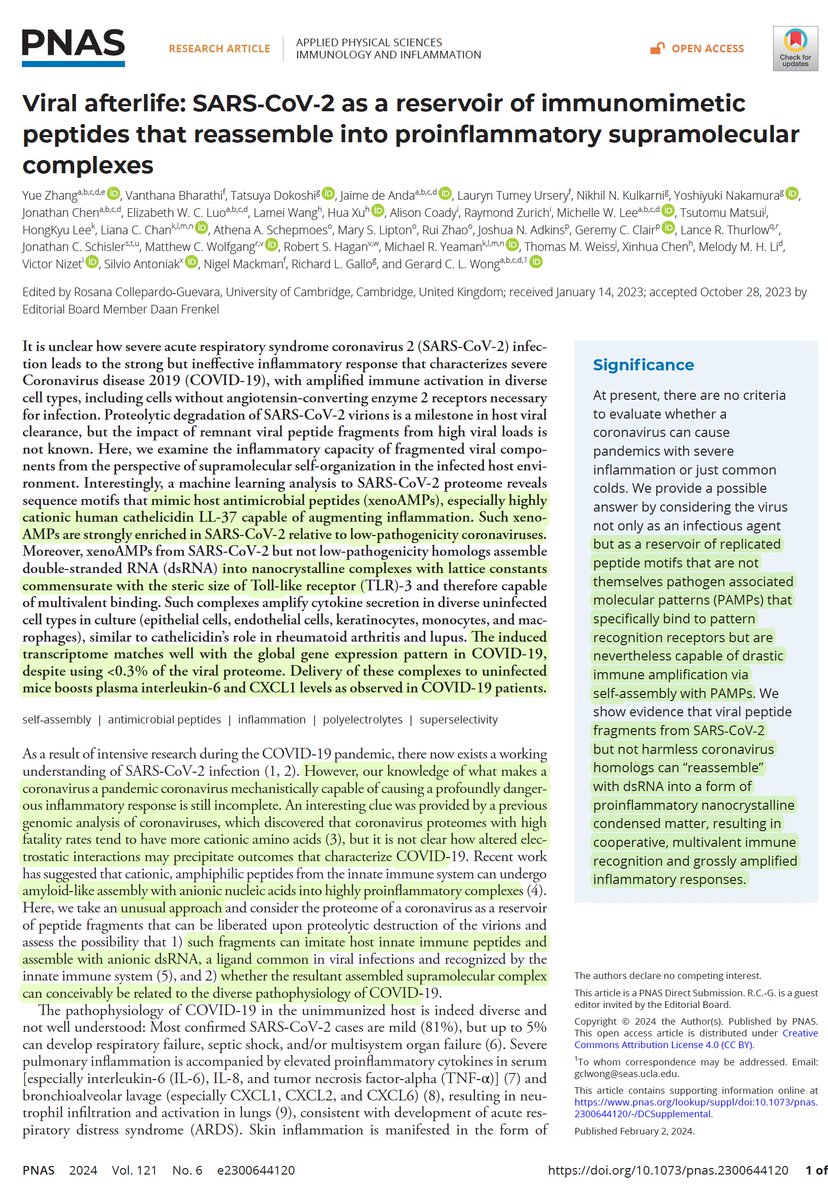 Important discovery relevant to #LongCovid: 
Fragments of #SARSCoV2 virus can reassemble into "zombie" complexes (XenoAMP-dsDNA) and induce a major and sustained immune response, affecting healthy, uninfected cells, not seen with common cold coronaviruses
pnas.org/doi/10.1073/pn…