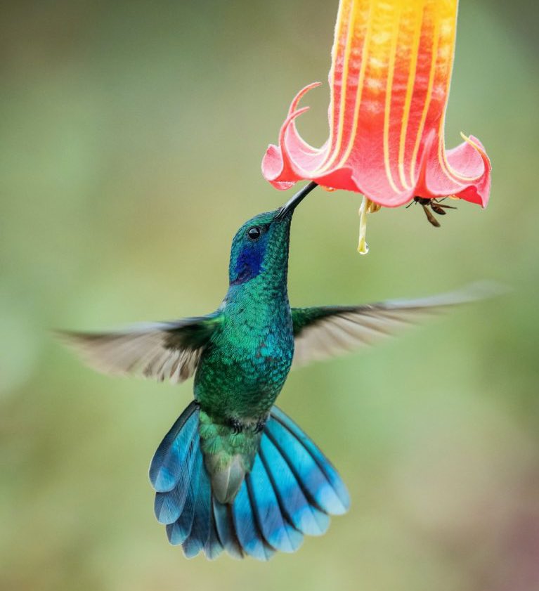 This planet only works as a democracy of 10 million, equal species. 

Not as a dictatorship of one.

#ecology #anthropology #politics #ClimateJustice #EarthnetOfThings