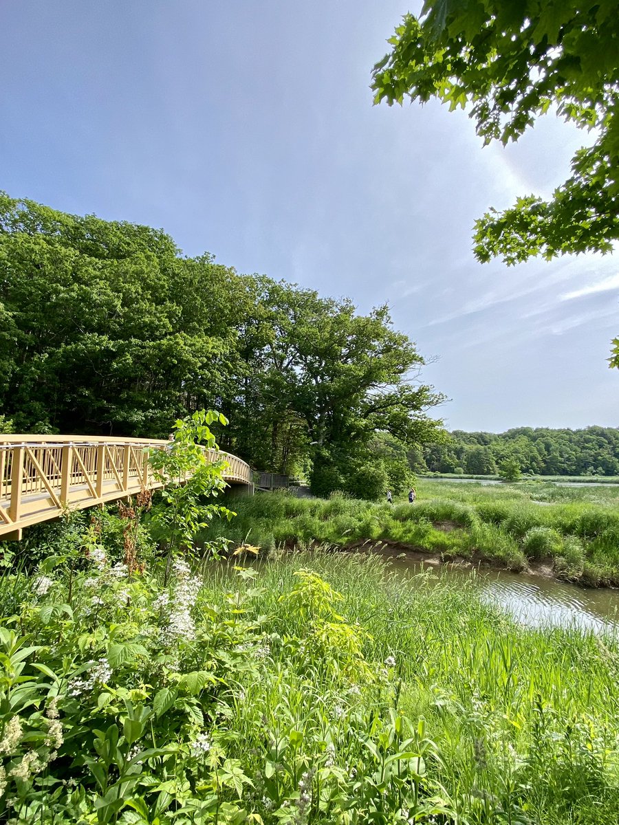 digaa17's tweet image. Nova Scotia has many extraordinary wetlands!  Interesting and beautiful, these systems serve a critically important role in the preservation and health of our ecosystems. Life depends on wetlands. Sharing some of my fav wetlands! #WorldWetlandsDay #NovaScotia  #conservation