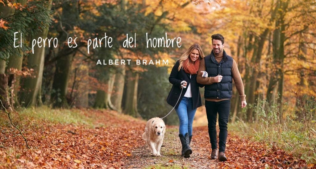 MiPerroMiGato's tweet photo. "El perro es parte del hombre"

🐶 https://t.co/nv3Ig6f7C1