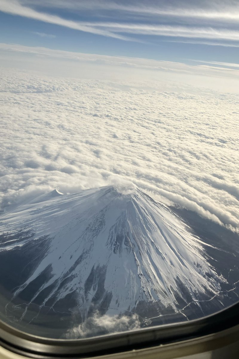 ari✈︎ tweet media