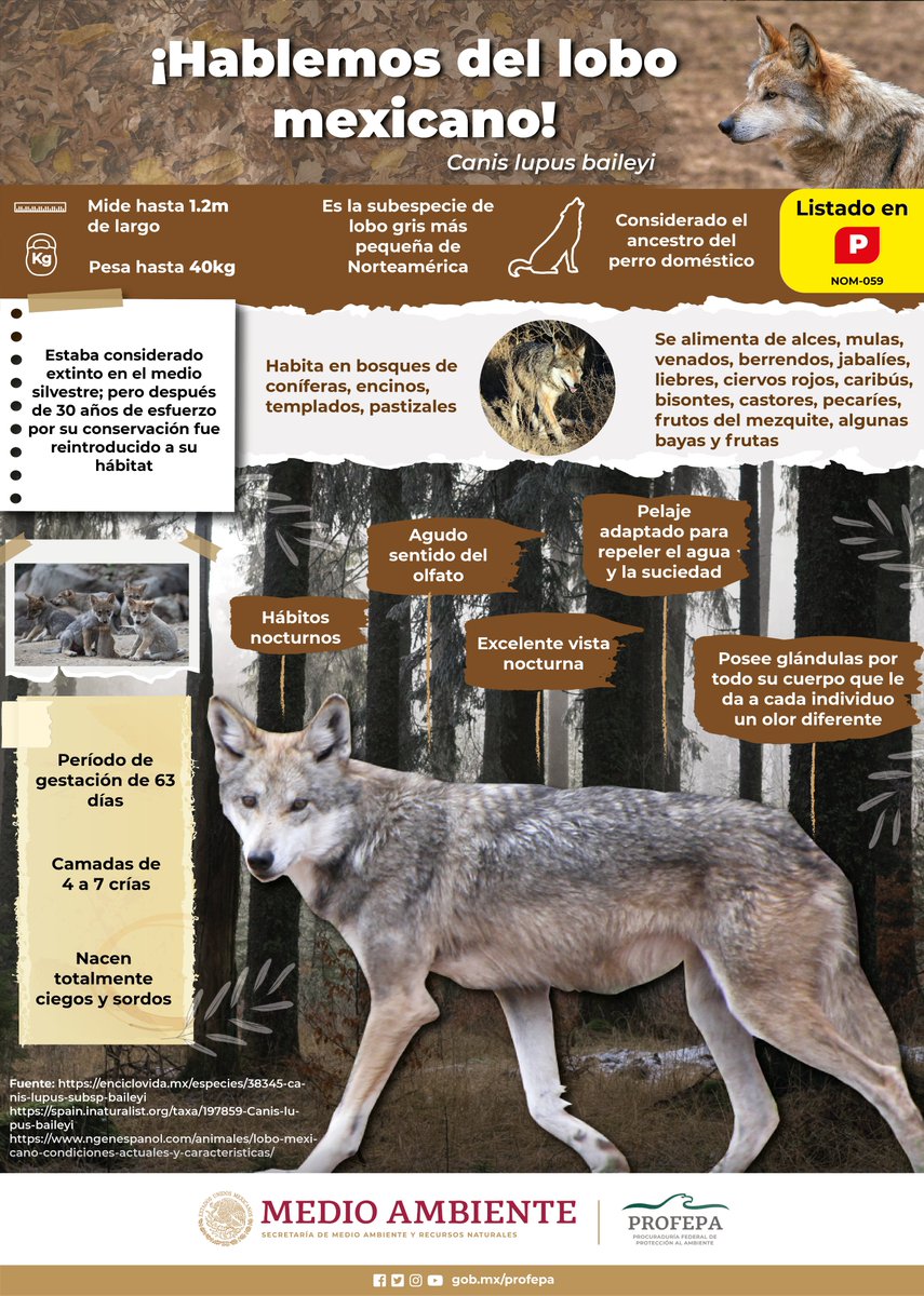 Listado de Especies Silvestres en Régimen de Protección Especial, image size:855x1200