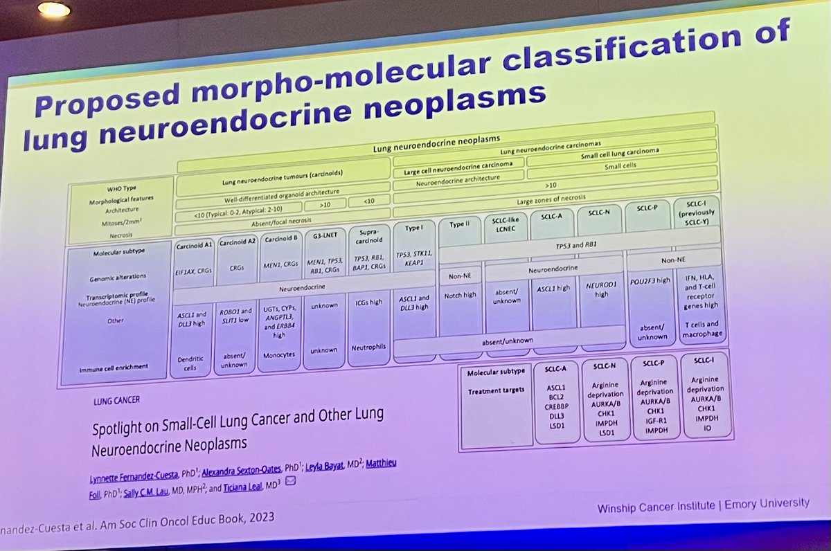 I always learn something from @LealTiciana. Lots of developing classifications for NETs which include SCLC. Please note the mutations in the supercarcinoid share similarities with SCLC and Meso. #winterlung24