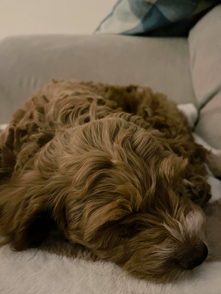 Sharon Colvin tweet media