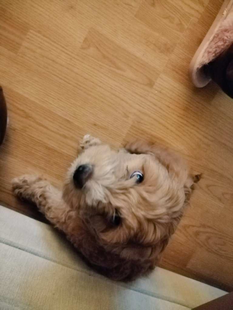 Sharon Colvin tweet media