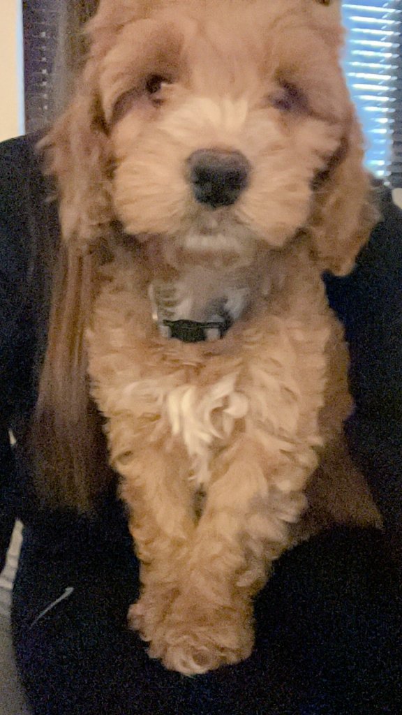 It doesn't take long to fall in love❤️