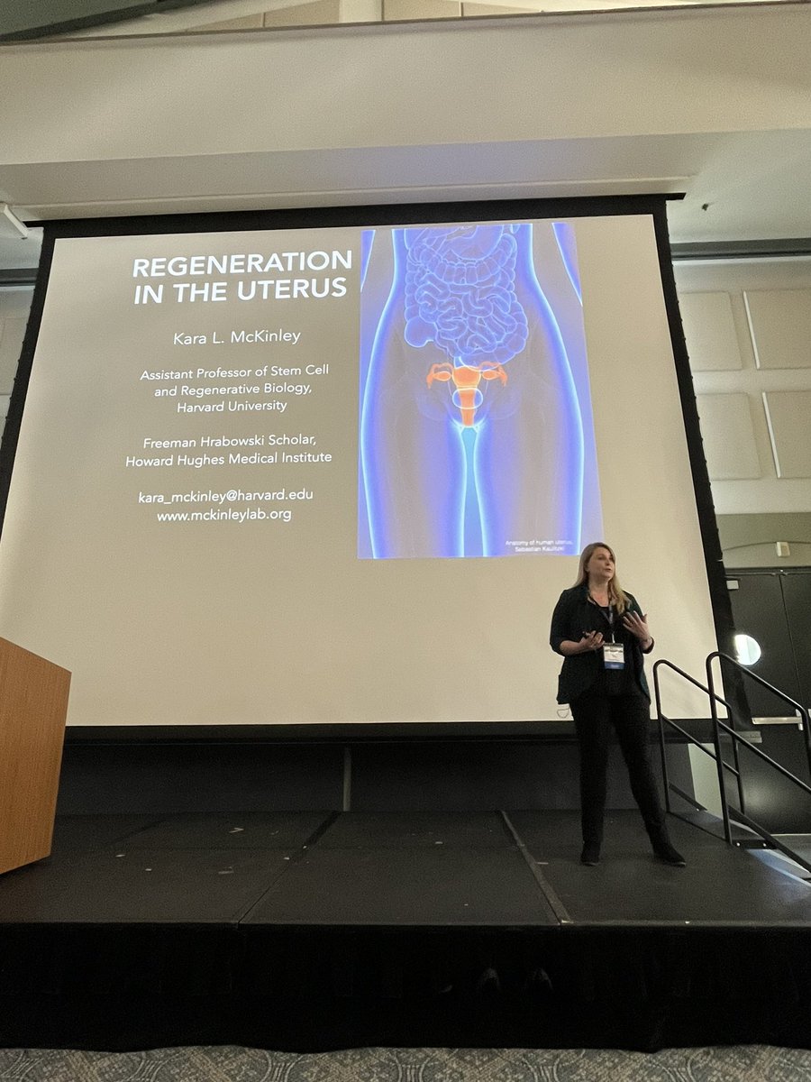 @Thomas_Rando @yamashitaflylab @MITBiology @CarlaKimLab @Harvard @dinodicarlo Our next speaker @karalmckinley @HSCRB studies how the uterine lining (endometrium) regenerates after menstruation with the goal of improving care for people with endometrial pathologies and/or menstrual experiences that interfere with their quality of life. #UCLAStemCell24