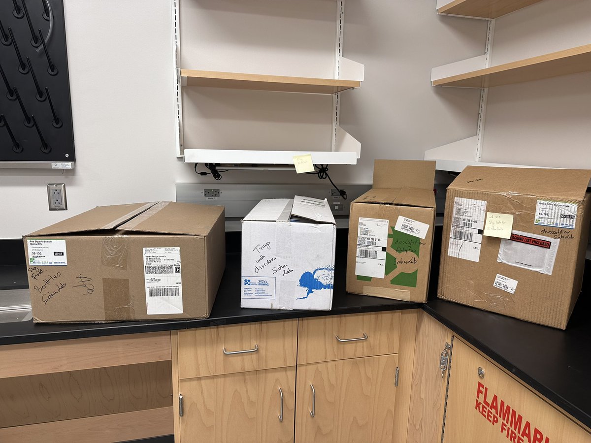 Subhshri85's tweet photo. Small but important steps forward in setting up my lab  at Western Carolina University 🥰 https://t.co/ktOcdbtSNf