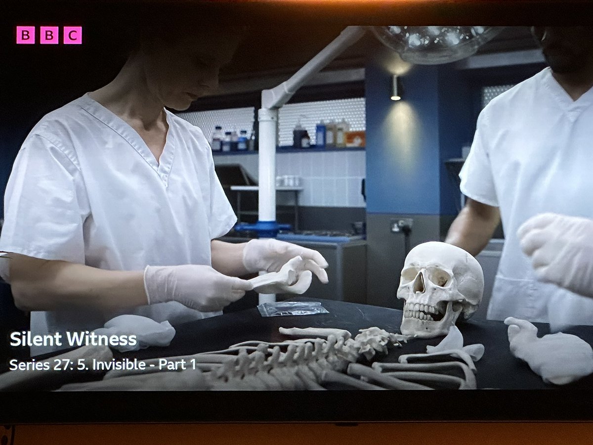 Skeletoress's tweet photo. Silent Witness, S27 (!!!), E5: Dear @BBCOne. T’was a really quite nice mummy. You even did the maceration alright. And then…this 🤯 Why? Is it so hard to open an anatomy book? Google a skeleton layout? Maybe pretend to call on a forensic anthropologist? 🤷‍♀️ We’re happy to help… https://t.co/S51XYWE5C3