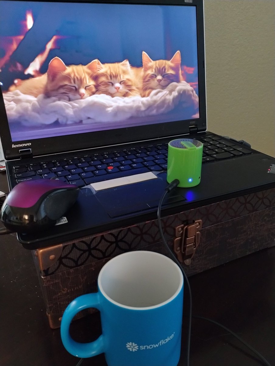 imlanie01's tweet image. I'm having a little cat and mouse coffee break before I dive into Bedrock....
#codingfun #pythonprogramming
#aws #bedrock