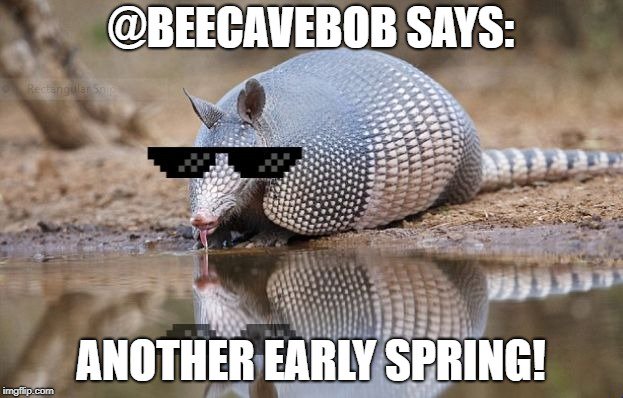 beecavebob's tweet photo. https://t.co/Cz5cuVy3N0