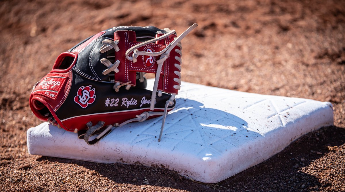 South Dakota Softball tweet media