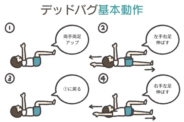 ino___12's tweet photo. これヤ��い。「反り腰」「ぽっこりお腹」にガチできく長友佑都さんもやっている「デッドバグ」。じみな動きとウラハラに○ぬほどキツいけどそのぶん効果はお墨つき。ちょっとコツがいるからリプ欄の動画を参考に。ブクマして一緒にお腹へこまそ🎵

【やり方】
①床に仰向けになる

画像はSOELUより https://t.co/H2i7Y1zVok