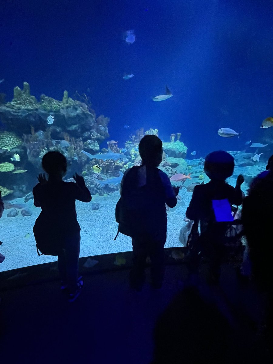 J.Cooper, MLS 👩🏾‍🏫❤📖 tweet media