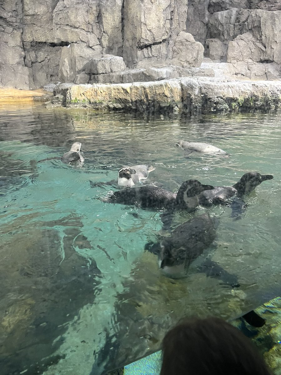 J.Cooper, MLS 👩🏾‍🏫❤📖 tweet media