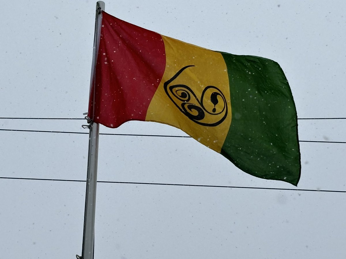 Today at NSTU headquarters, we raised the African Nova Scotian flag to celebrate and honour African Heritage month. The flag was designed by Wendie Wilson (@novaproud) who is an NSTU Executive Staff Officer. #AfricanHeritageMonth