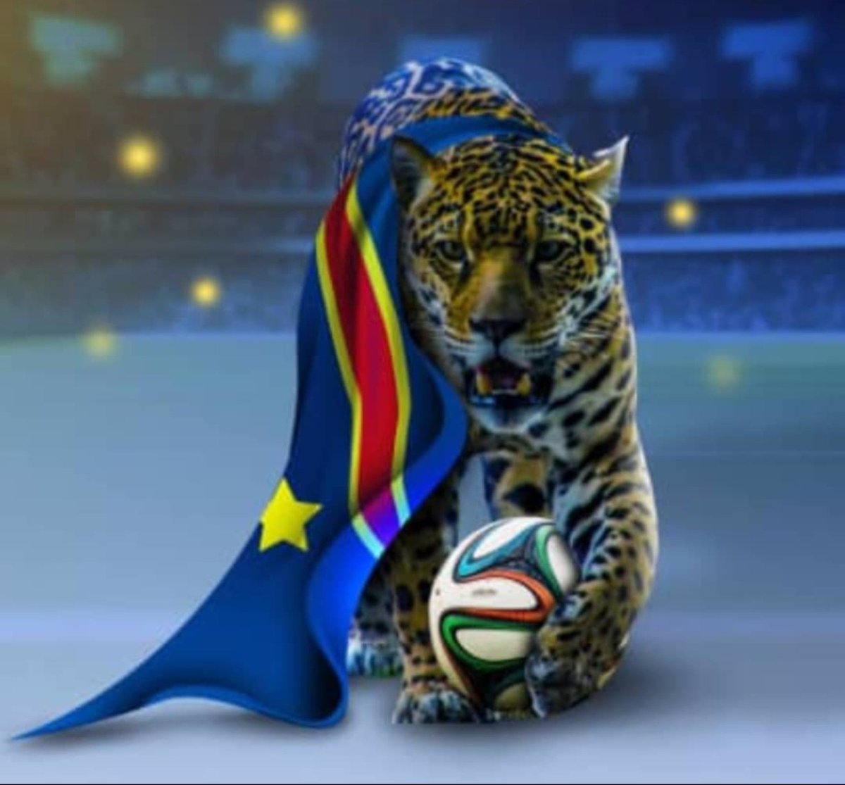 #RDC
Allez les léopards ! Allez les petits... !!!
Bravo pour la superbe victoire contre la Guinée (3-1). 
A nous la 1/2 finale CAN 2024 💪🏾💪🏾💪🏾