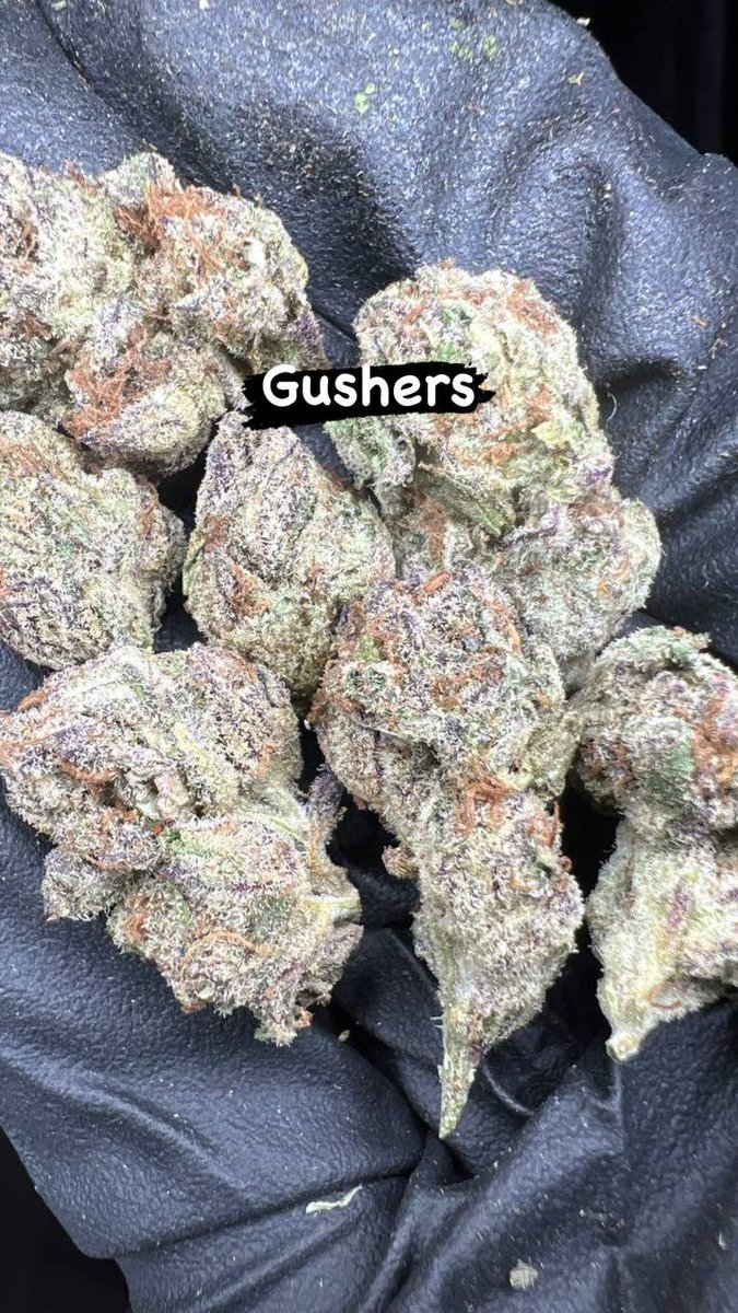 PlugManFinest's tweet image. 50$ halfs all weekend get me DM