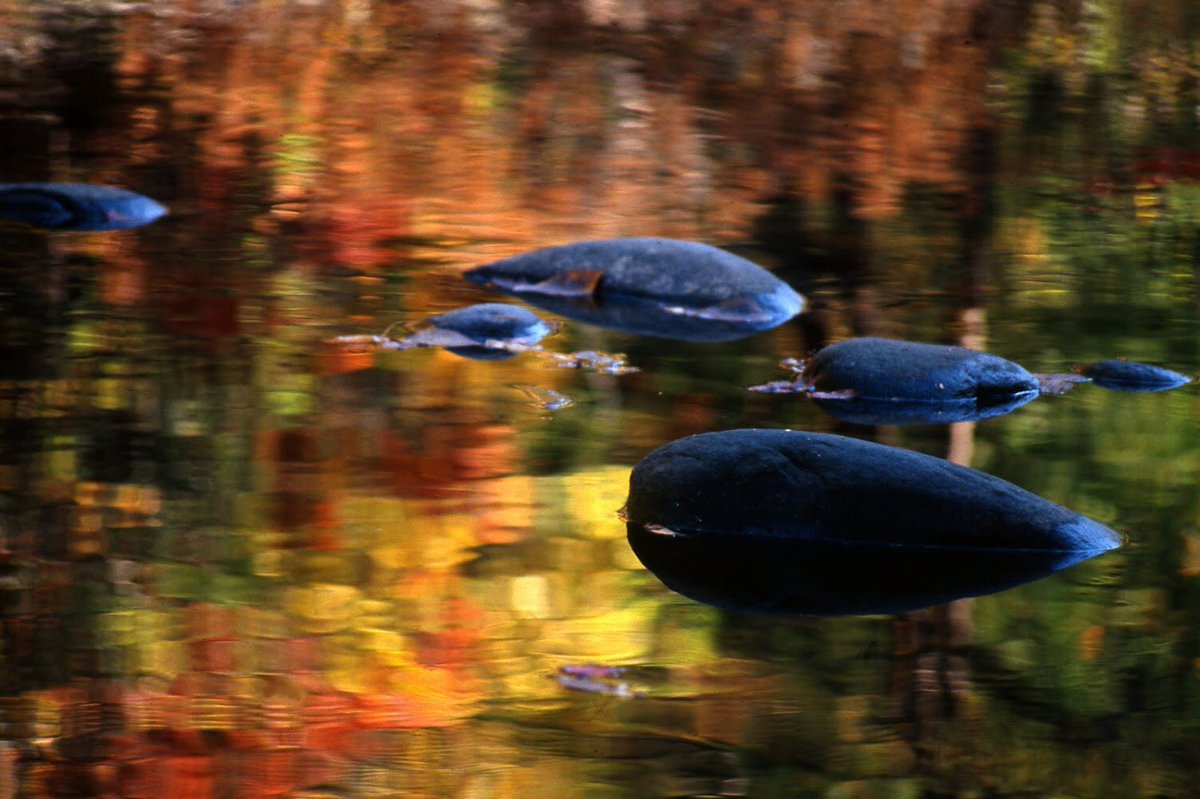 When I travel the world, I’m often attracted to the colors, shapes and textures I find in nature.