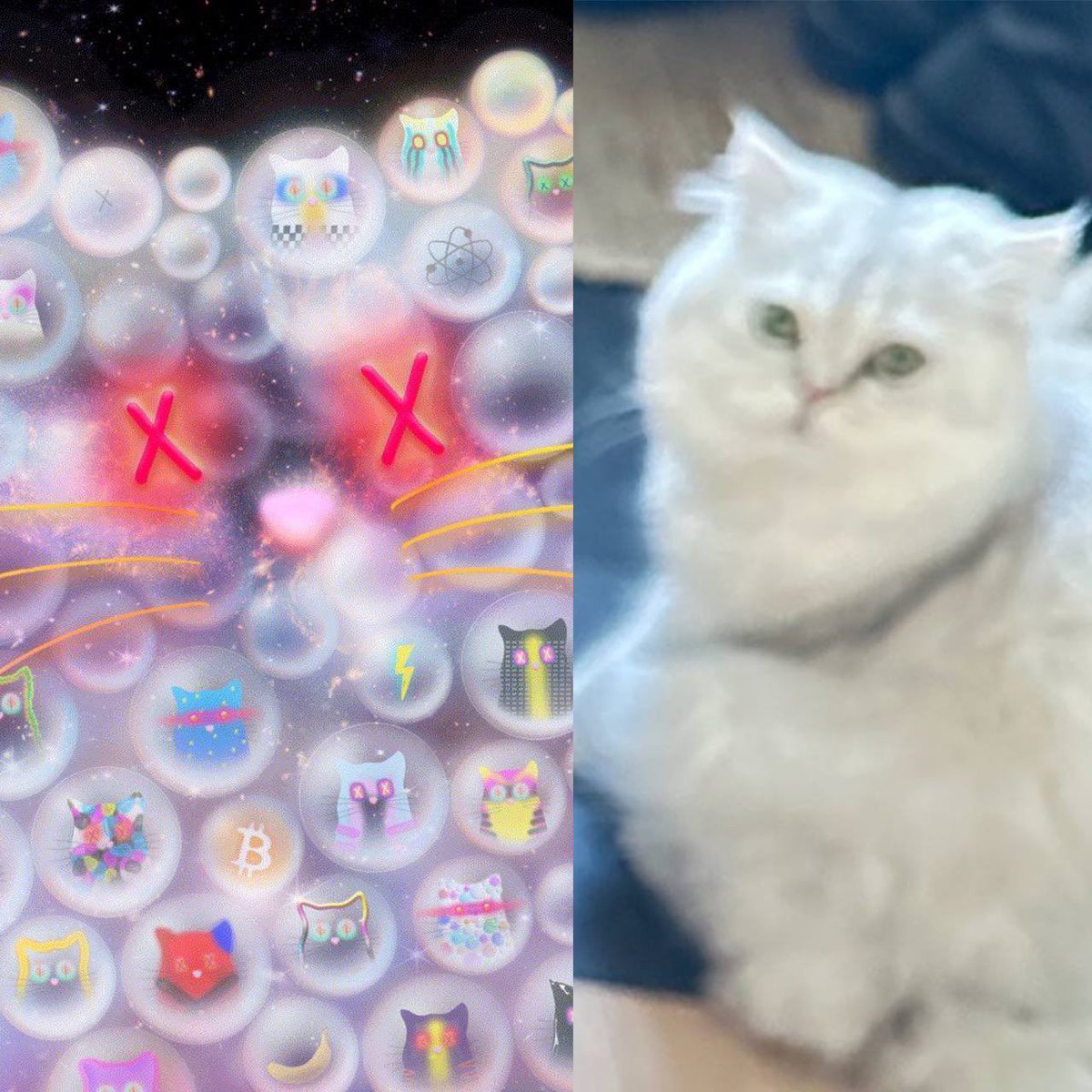 Quantum Cats | BIP-420🐱 tweet media