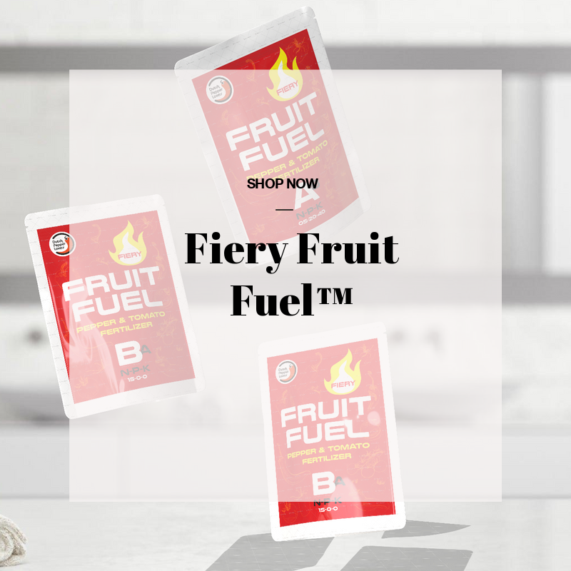 NutriGrowSol's tweet photo. 🍅 Fiery Fruit Fuel™ is terug! Transformeer je planten met onze exclusieve mineralenformule. 🚀 Verbetert groei, verhoogt opbrengst, bevat essentiële mineralen. 🌿Fiery Fruit Fuel™ is de sleutel tot gezonde planten en een geweldige oogst!
👉 Bestel hier: https://t.co/50yumNrEgT https://t.co/kvo4jeSORB
