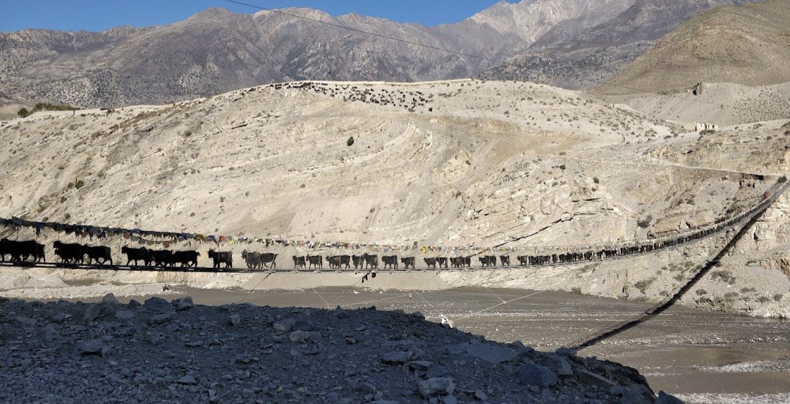 Dünyanın çatısına gidilen yol
Annapurna Circuit Trekking 
#trekkinginnepal 🥾