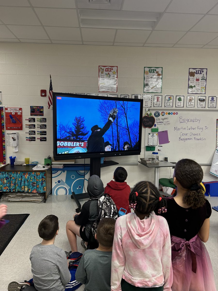 Lisa Cioffi tweet media