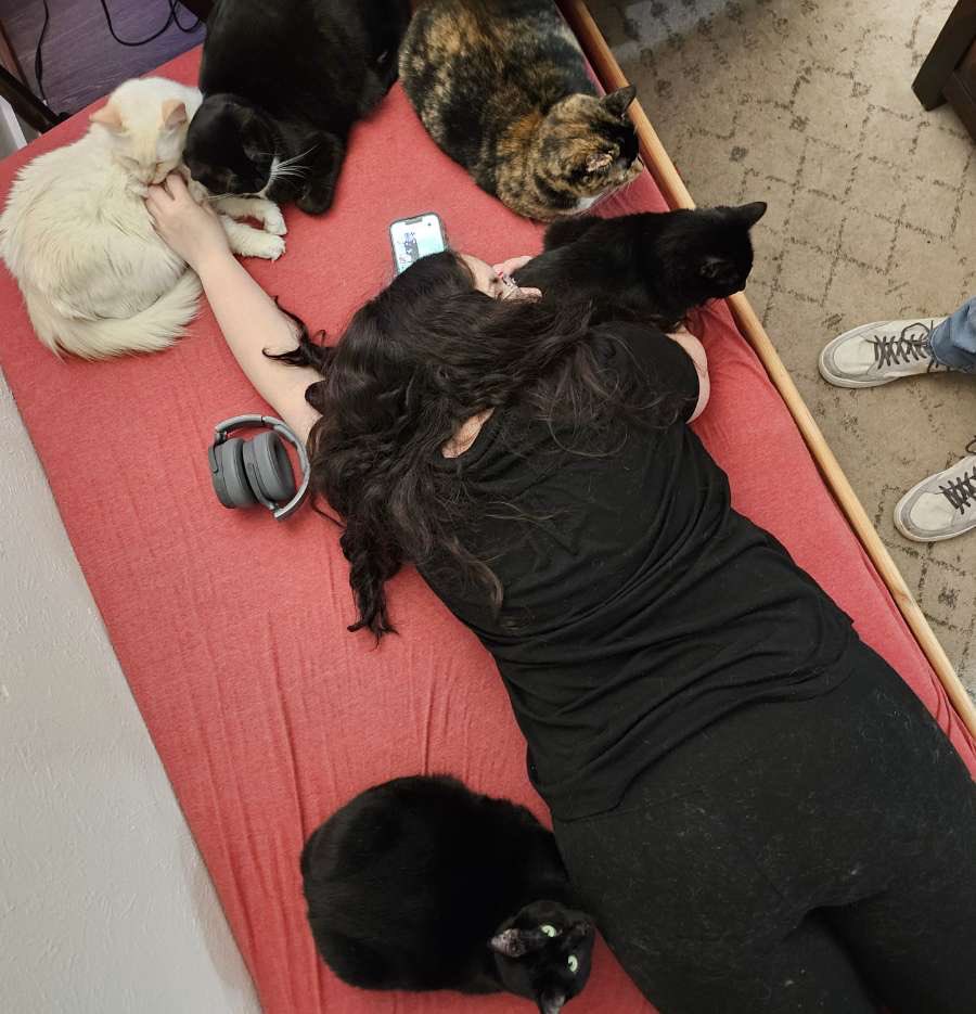 elenameavee's tweet photo. I love my kitties https://t.co/ceTIxJWM2y