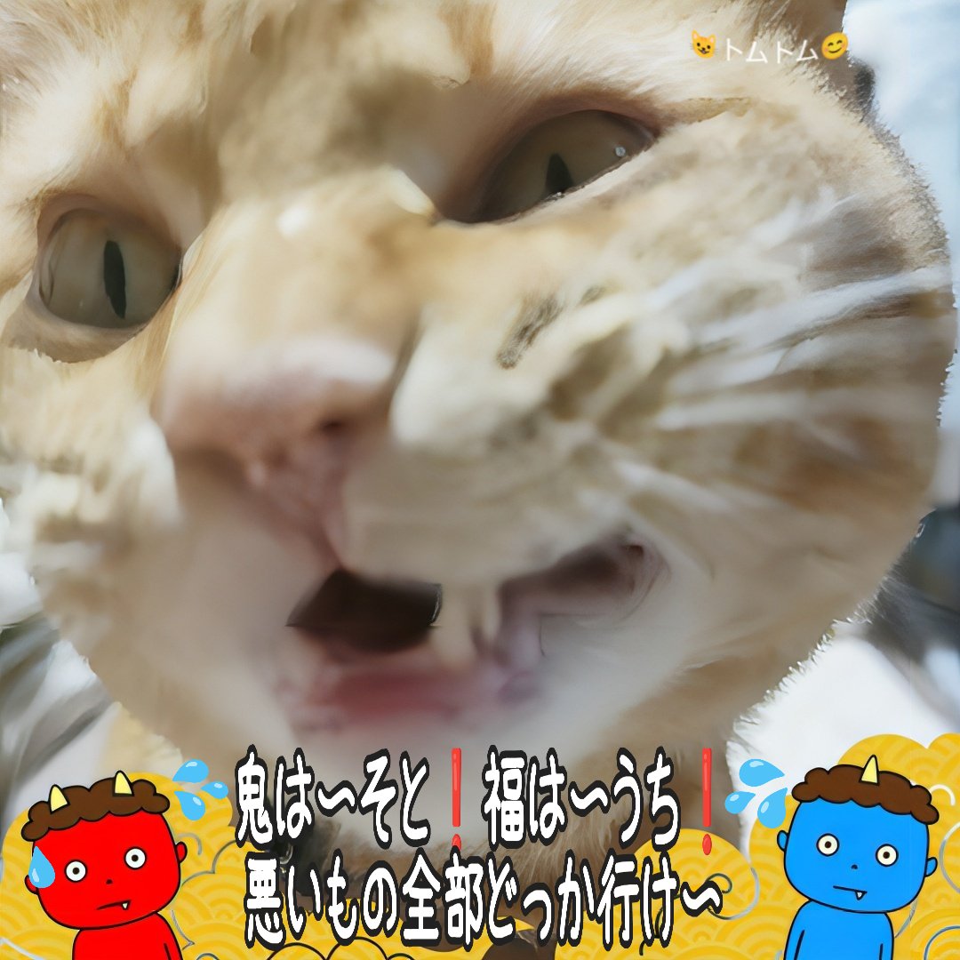 おはよう😺
今日は節分
悪いもの追っ祓って👹
健康に過ごせますように🍀
良い１日を😊

🍀Pray for world peace🍀
#猫のいる暮らし 
#保護猫を家族に
#節分