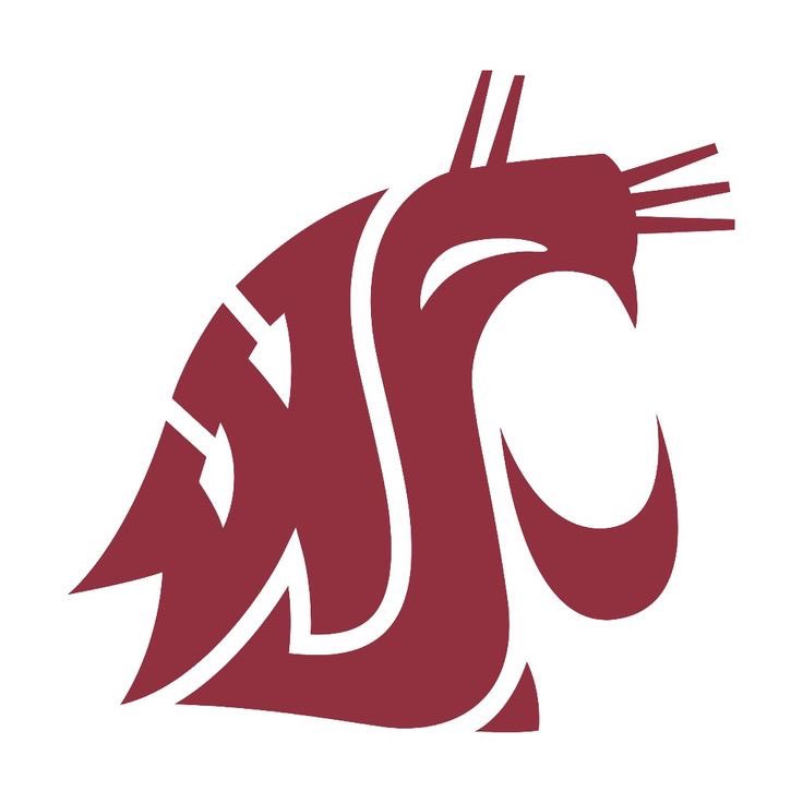 Truly blessed and humbled to announce that I’ve received my first Pac12 offer from, The Washington State University #AG2G#wazzu @ChadSimmons_ @GregBiggins @adamgorney @MDFootball @TheFront54 @DUiagalelei @lesfifita @AmasioMoni