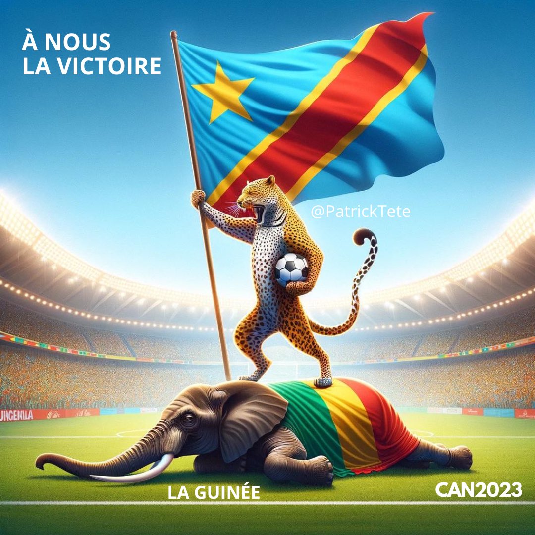 #RDC Félicitations à notre équipe nationale, nos vaillants léopards, pour cette belle victoire🇨🇩 ✌️ ! #ToroToro🥰 #Fimbu CTN