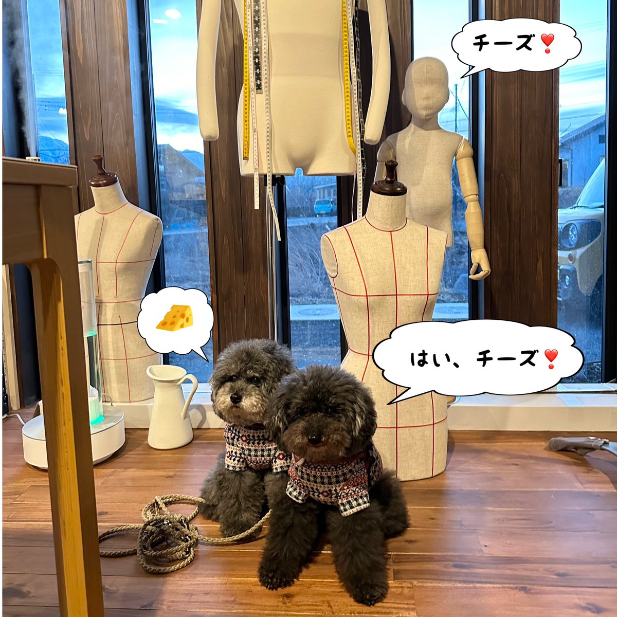 ❤️クーモコ溺愛日記❤️ tweet media