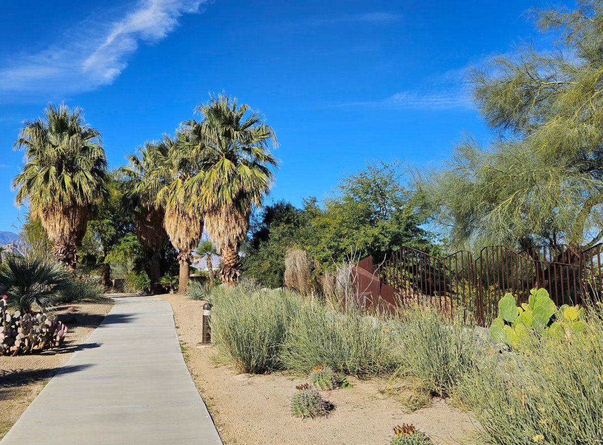 PatrickEmber's tweet photo. Another lovely day in the desert. https://t.co/Md29DCYSrY