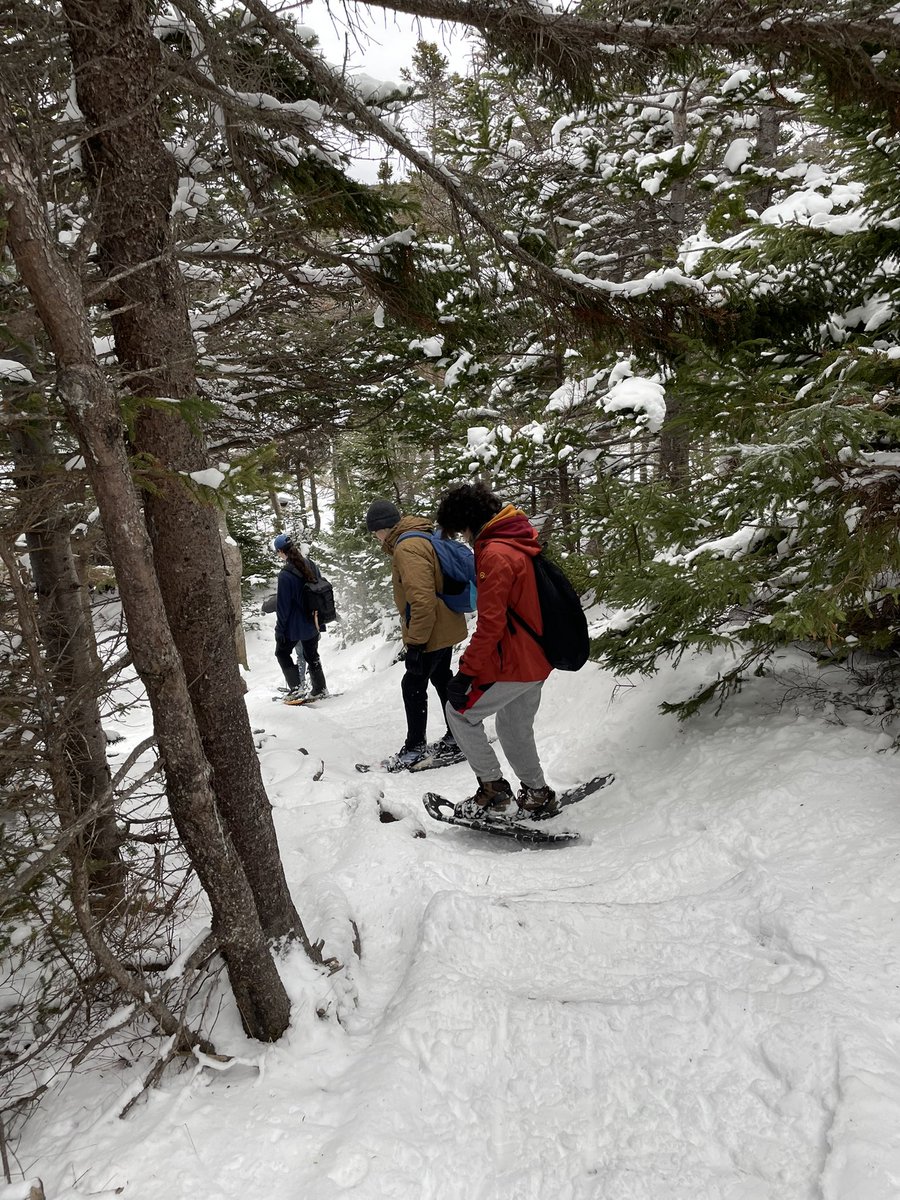 Mr. David Penney tweet media