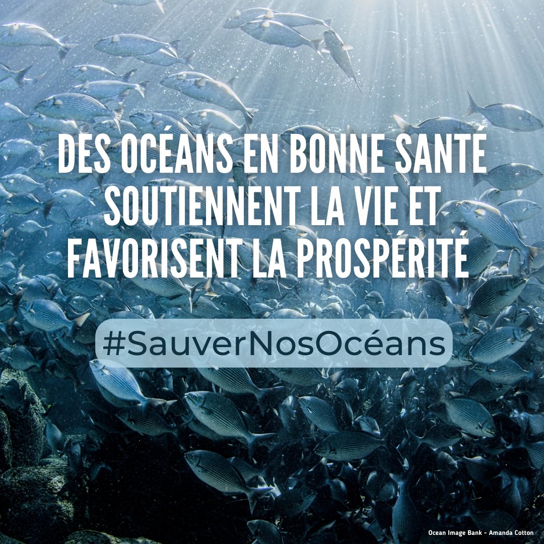 Nations Unies (ONU) tweet media