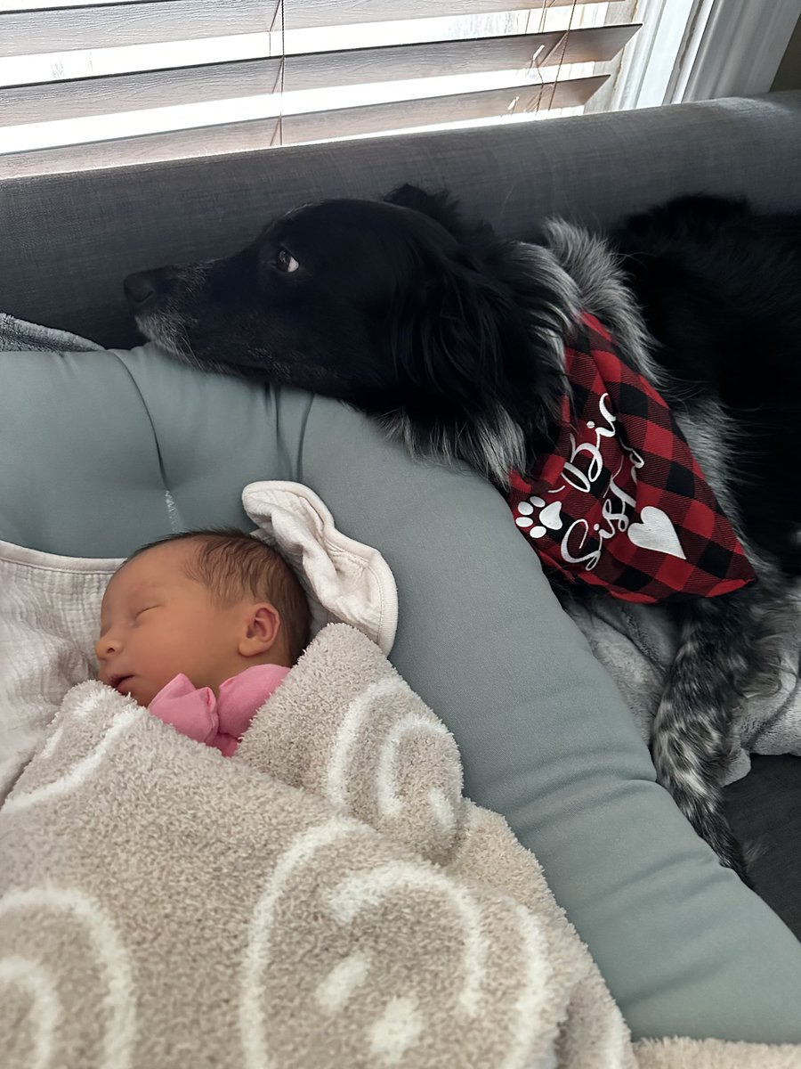 Ryan Richardson tweet media