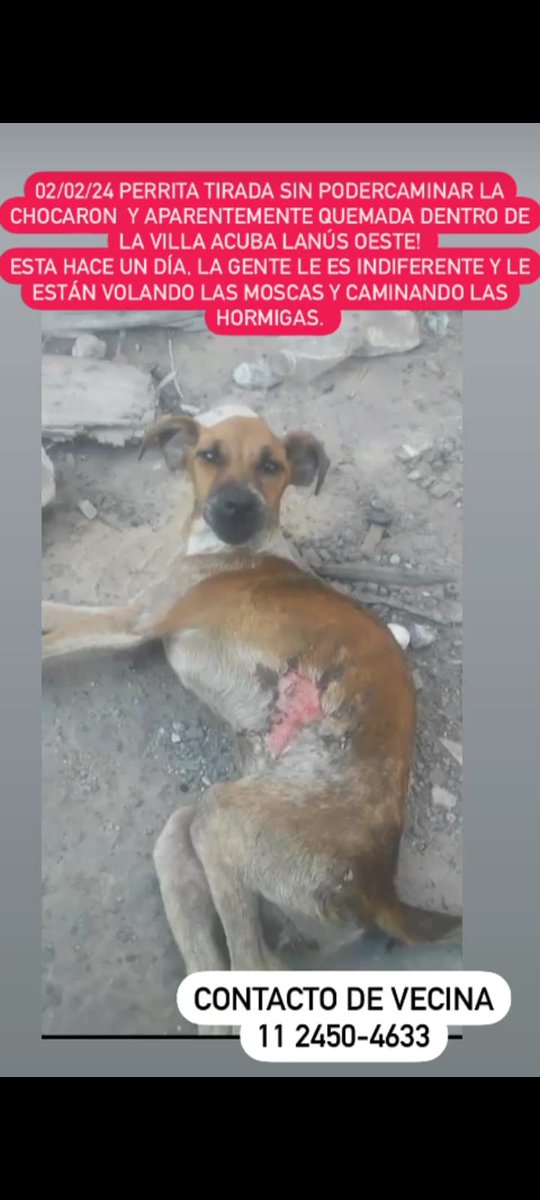 Difundimos
