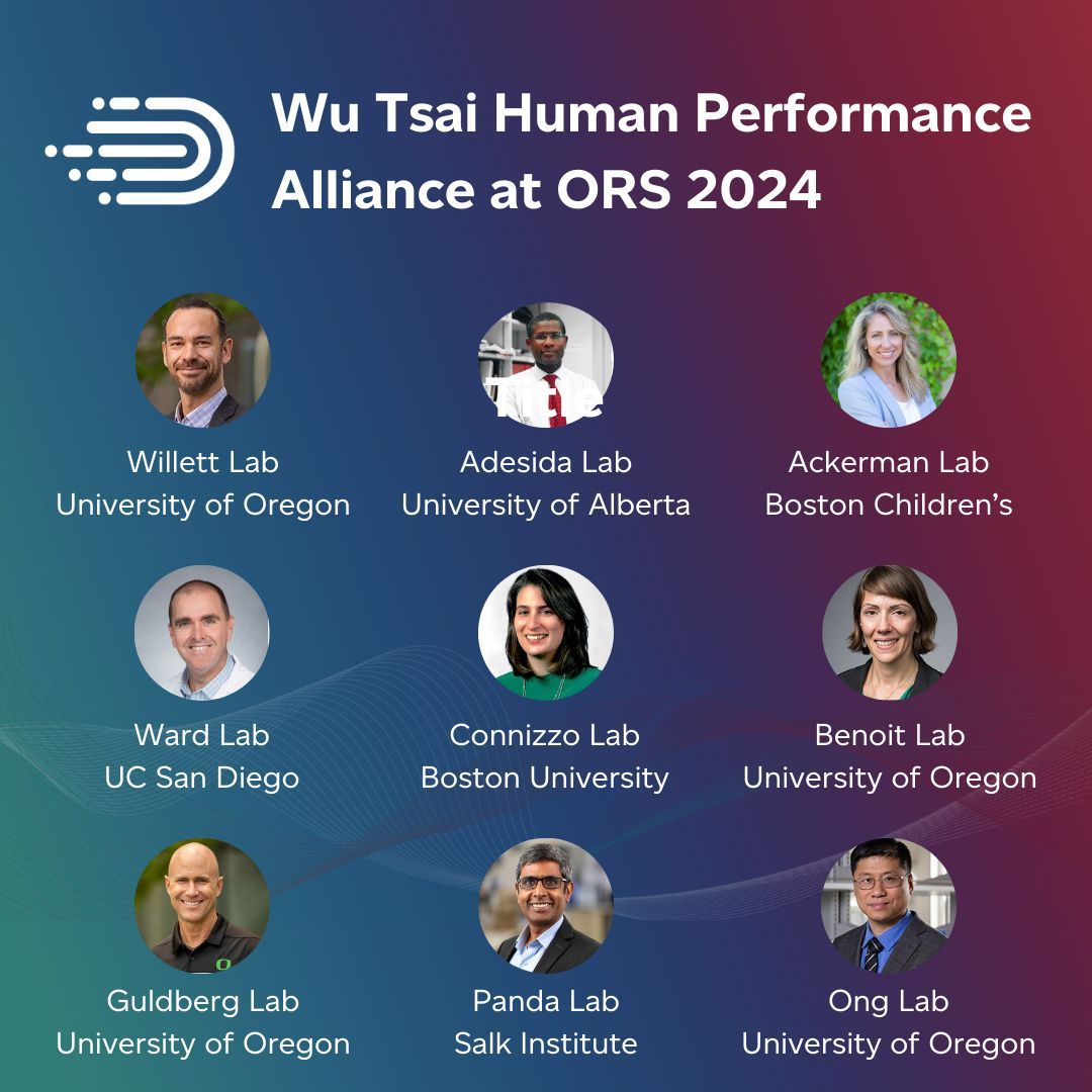 The Wu Tsai Alliance is excited for @ORSsociety #ORS2024! We have stellar representation from many of our labs, including @WillettLabs @SatchinPanda @SamWardUCSD @guldberg_bob @BrianneConnizzo @DrKateAckerman @Benoit_Lab5 @ProfOng. Full presentation list: buff.ly/42qIoSP