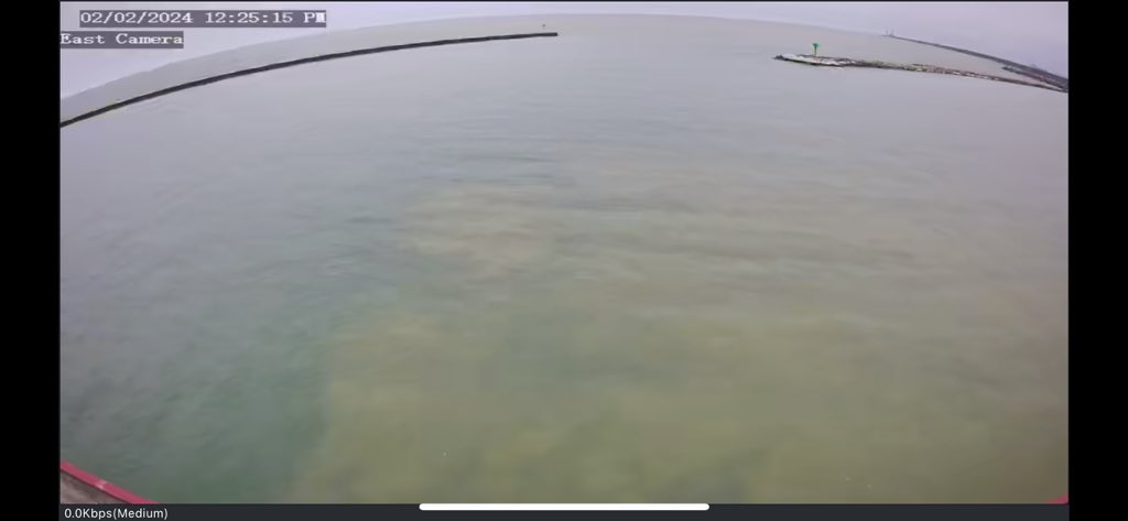 The house didn’t see its shadow today, so we’re going to have an early Spring!