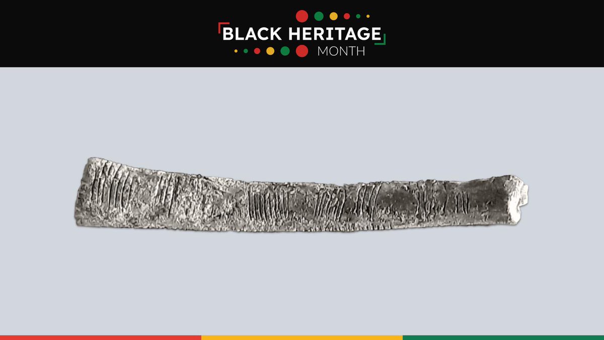 Did you know that the Ishango bone, estimated to be 25,000 years old, is commonly regarded as the second-oldest math artifact? Watch our PD on the Fly video about it (bit.ly/potf-ib). Access via Board account. Refer to System Memo C:239 for more information. #BHMycdsb