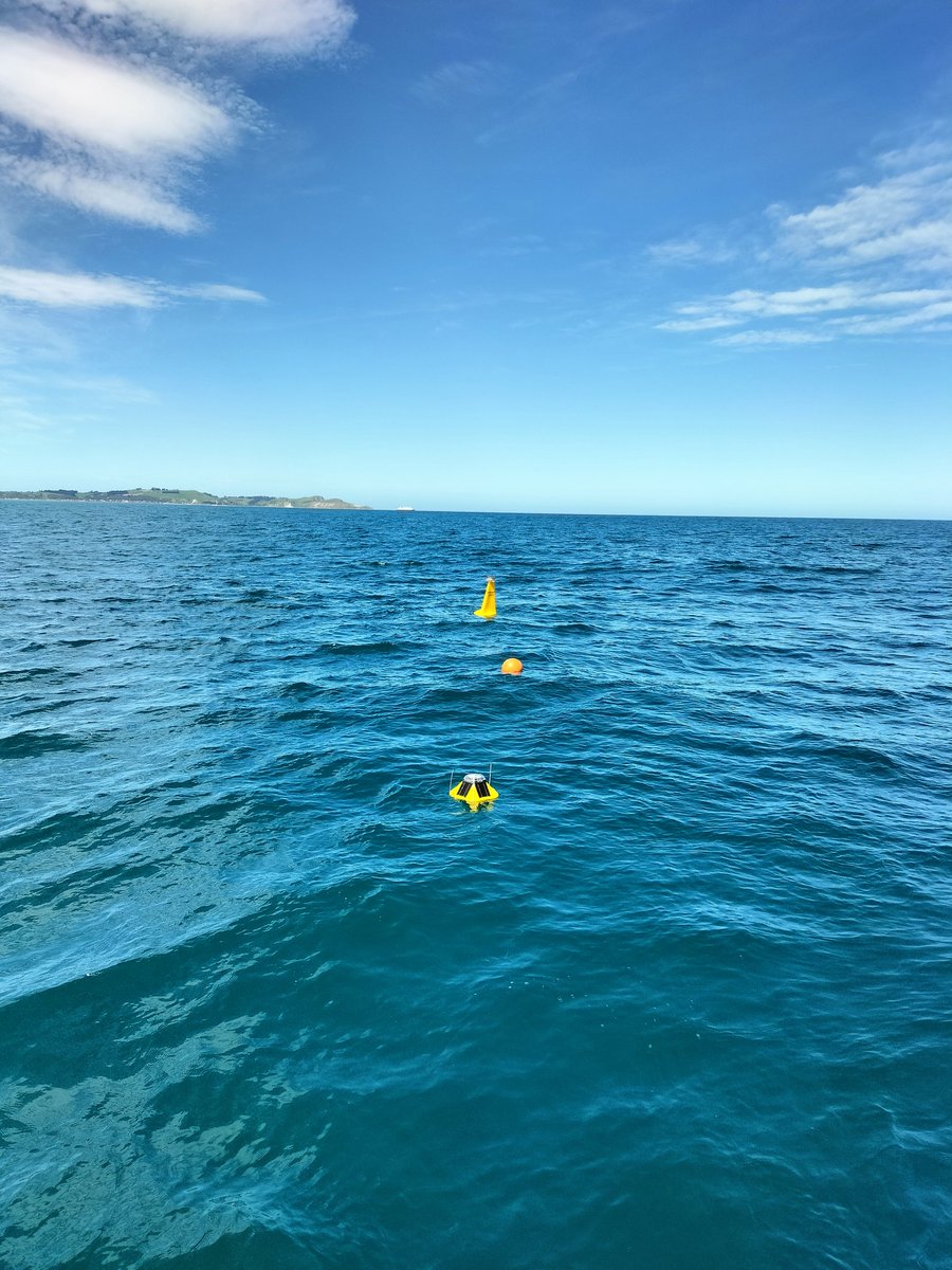 Yesterday another Spotter wave buoy was added to the Canterbury Wave Monitoring Network offshore of Pareora, south of Timaru. Thanks to PrimePort for collaboration and deploying the buoy. It is exciting to see the network grow! Free live wave data here: canterburywaves.co.nz
