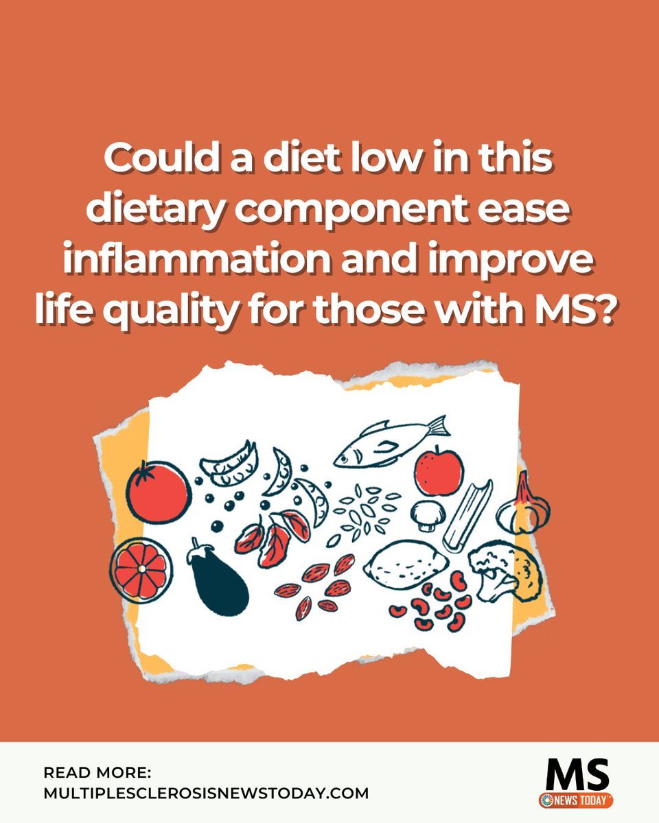 The study is the first to show that a diet containing the component can influence diseases like MS. See what researchers found: buff.ly/4birFF8 

#ms #multiplesclerosis #msresearch #msnews #msdiet