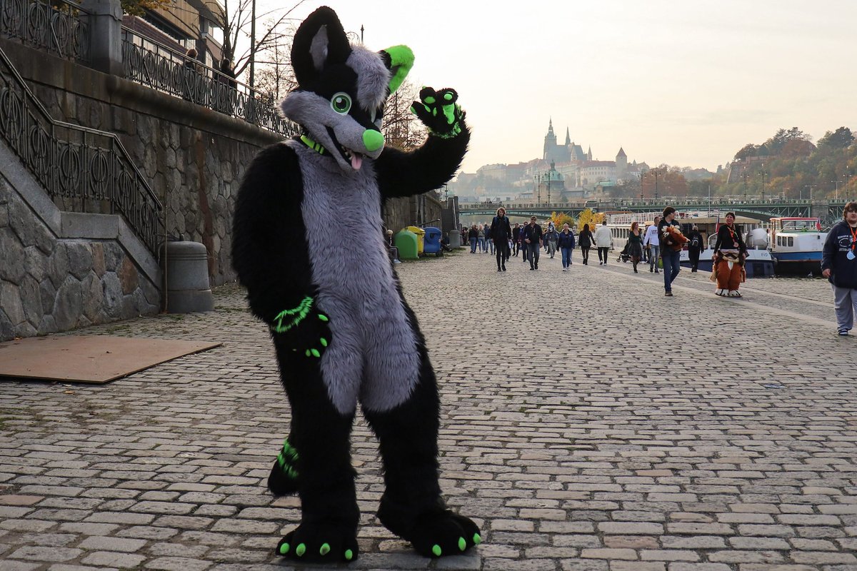 Weekend is here! Happy #fursuitfriday

#furry #fursuit #fursuiter