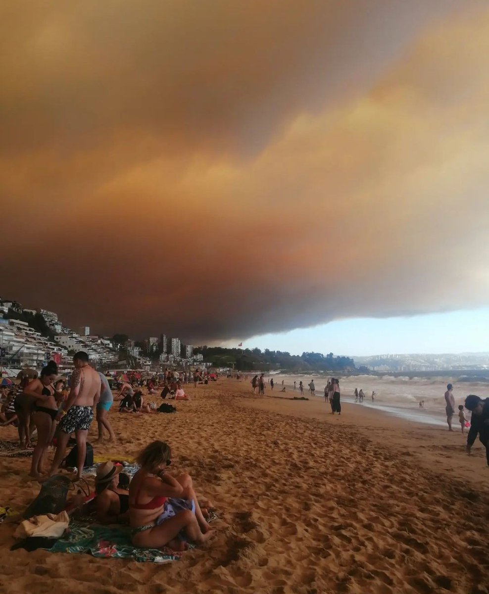 adiitha_caro's tweet photo. Dios mío😭!! A ésta hora en #VinadelMar gran incendio forestal !! Focos simultáneos en Villa Alemana, Peñuelas (ésto es intencional), No digan que es por las altas temperaturas.
 EVACUEN CON SUS ANIMALES POR FAVOR 🐶🐈‍⬛🐰 https://t.co/YngMvbtphz