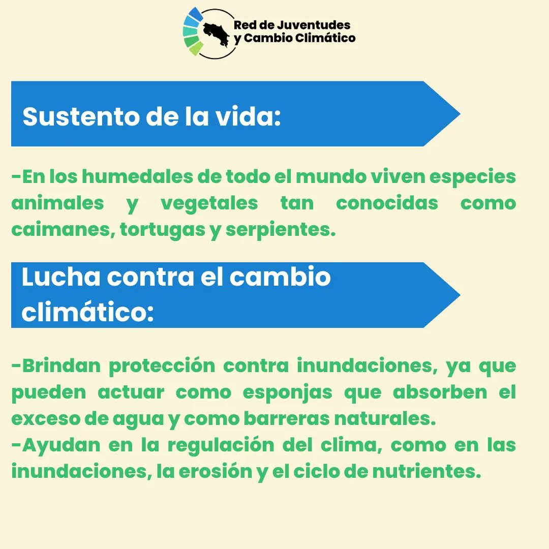 RJCC_CR's tweet photo. En este día queremos crear conciencia de la importancia de estos ecosistemas pero también del riesgo que corren, con una pérdida del 35% a nivel mundial en los últimos 50 años, los humedales son nuestro ecosistema más amenazado, 2/3 https://t.co/DFRI9uIpJW