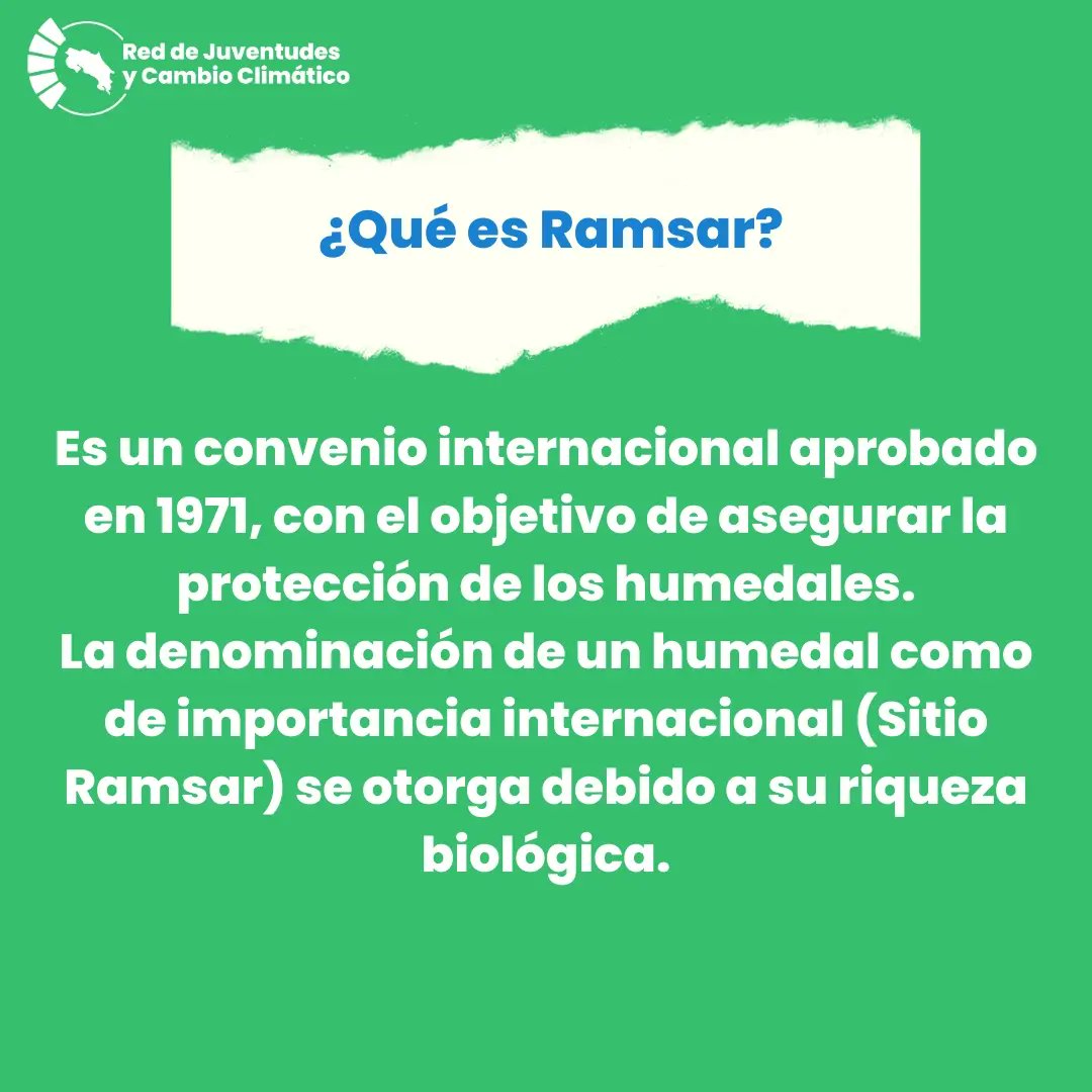 RJCC_CR's tweet photo. En este día queremos crear conciencia de la importancia de estos ecosistemas pero también del riesgo que corren, con una pérdida del 35% a nivel mundial en los últimos 50 años, los humedales son nuestro ecosistema más amenazado, 2/3 https://t.co/DFRI9uIpJW
