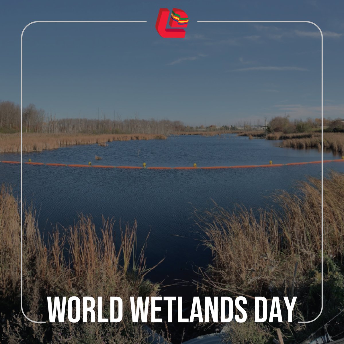 World Wetlands Day is a day to celebrate the vital role of wetlands in sustaining life on Earth. Wetlands filter our water, protect us from floods, and support biodiversity. We are committed to restoring wetlands and enhancing their functions through our products and services.