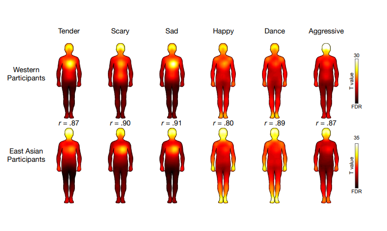 Music can evoke bodily responses. A cross-cultural study in the United States, the UK, and China found some differences between East and West, but everyone felt danceable songs in the feet and heart-wrenching ballads in the chest. In PNAS: ow.ly/LhT850Qxlb6