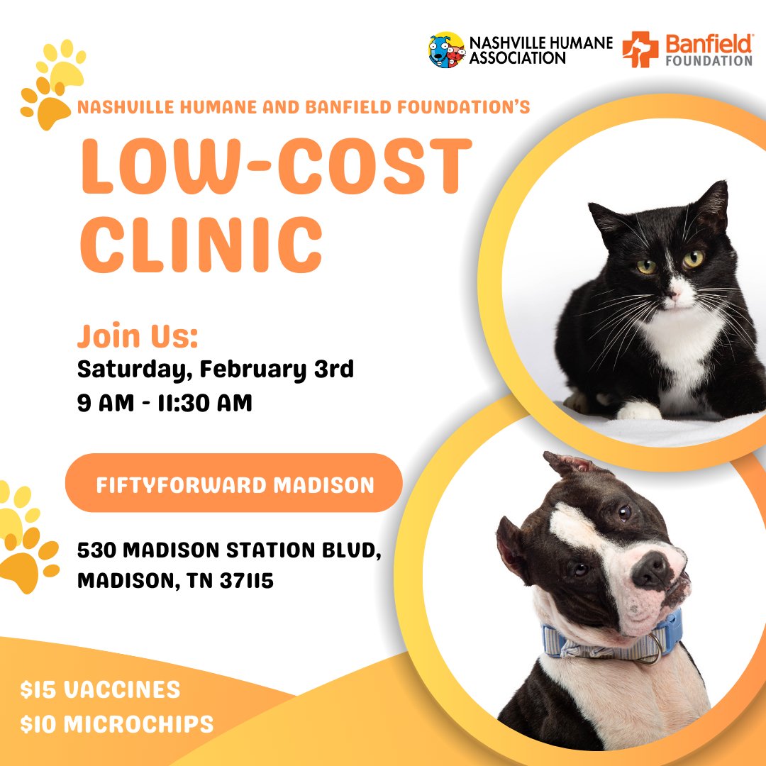 Tomorrow!📣 Our next monthly low-cost vaccine and microchip clinic is tomorrow! Find out all event information here: loom.ly/bEYzvTU 💉 ⁠
